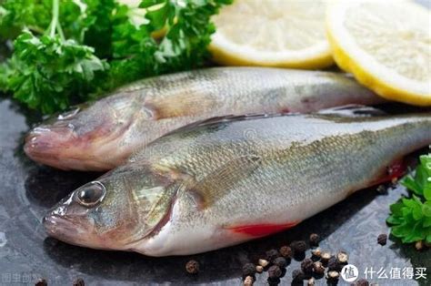 鲈鱼为什么中医建议少吃，性质／功效与禁忌／个体差异与适度食用